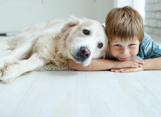 Who Gets the Pets in a Virginia Divorce?